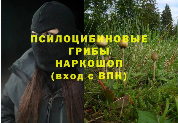 мдпв Переславль-Залесский